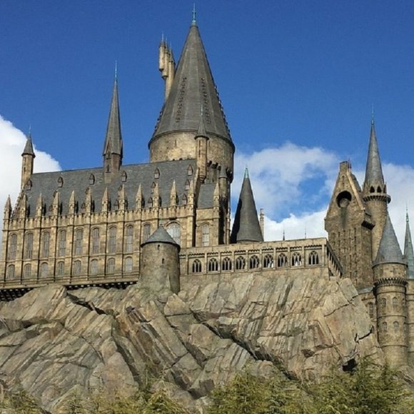 Meet your Posher, Joy - Picture 2 of 2